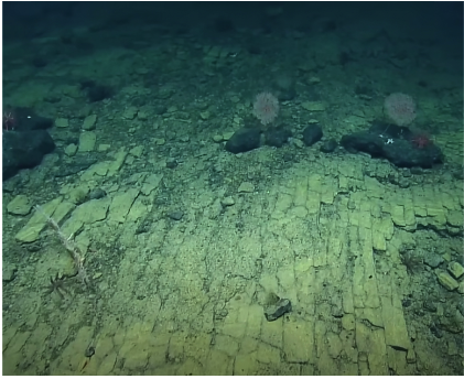 1686236629-9972-D1-3