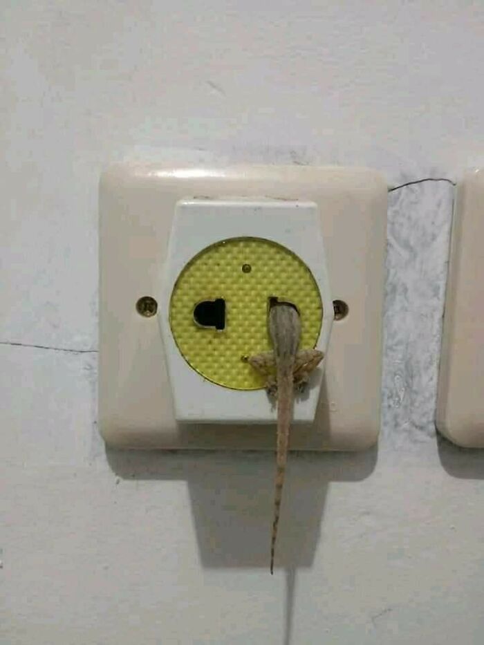 1701043956-6808-49-7