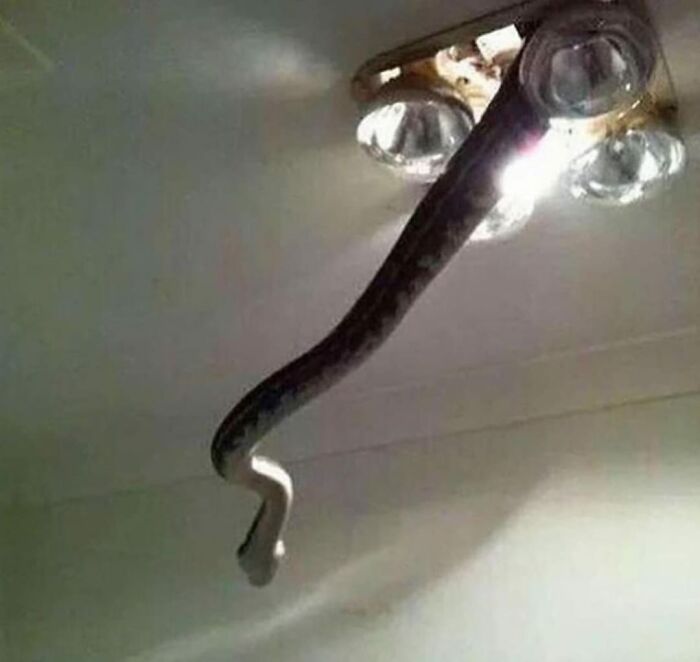 1701043958-1684-31-9