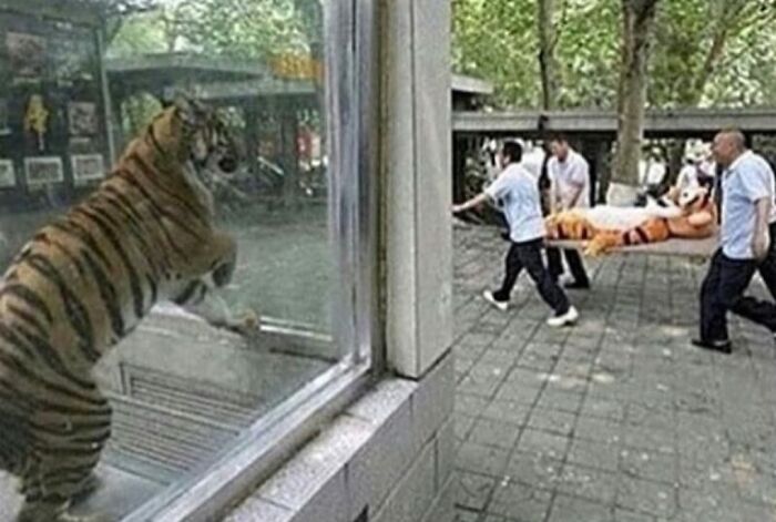 1701043959-6390-19-11