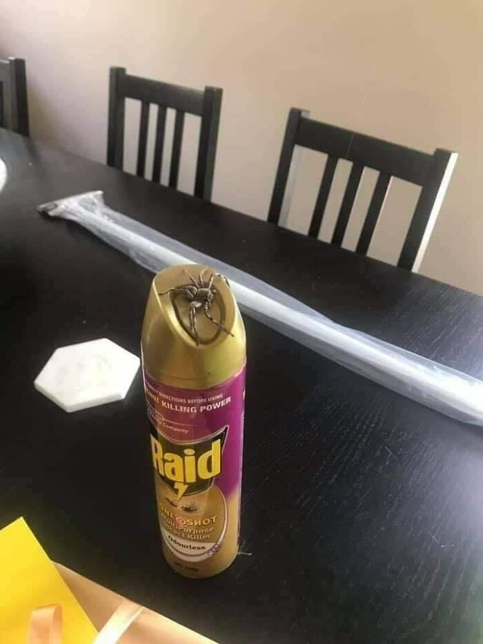 1701043959-6573-23-10