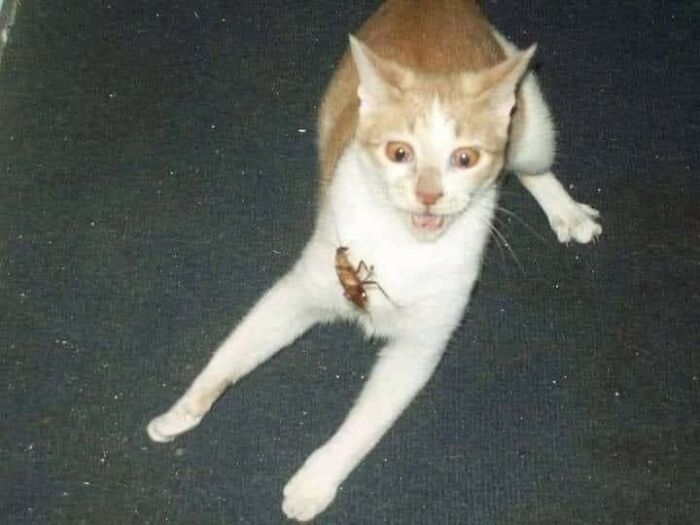 1701043960-7431-10-29