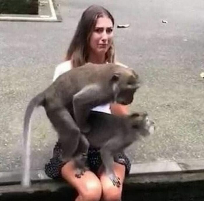 1701043961-3211-3-30