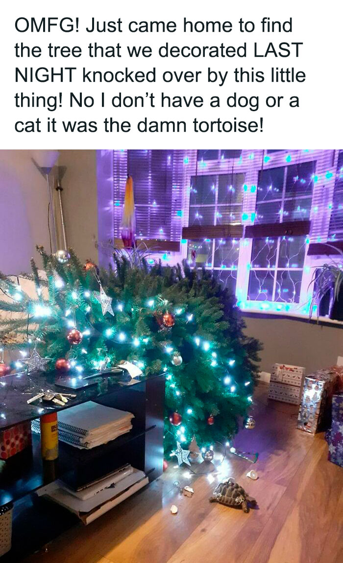 1701043961-4728-1-30