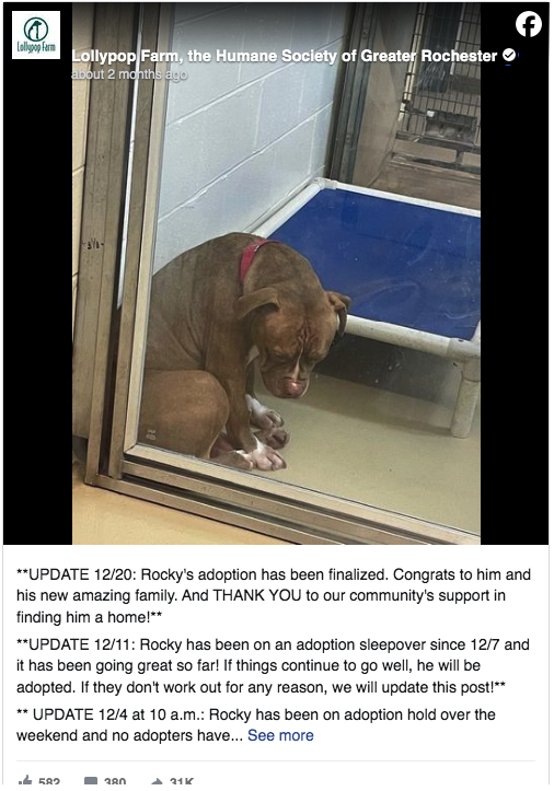 1705799796-5583-A1-34